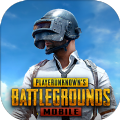 地铁逃生凯撒直装版下载(PUBG MOBILE)
